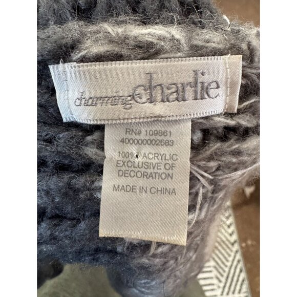 Charming Charlie Gray & Ivory Striped Knit Scarf W/ Rhinestone Embellishments & - Picture 4 of 12